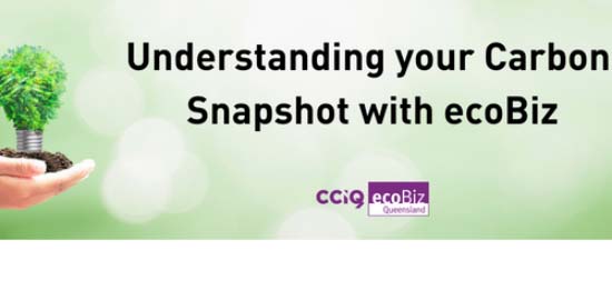 CCIQ ecobiz webinar